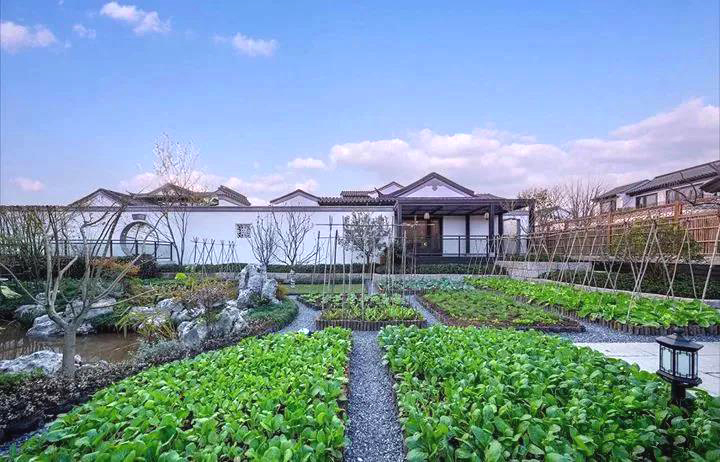 /uploads/image/2020/12/16/003 - 副本.jpg